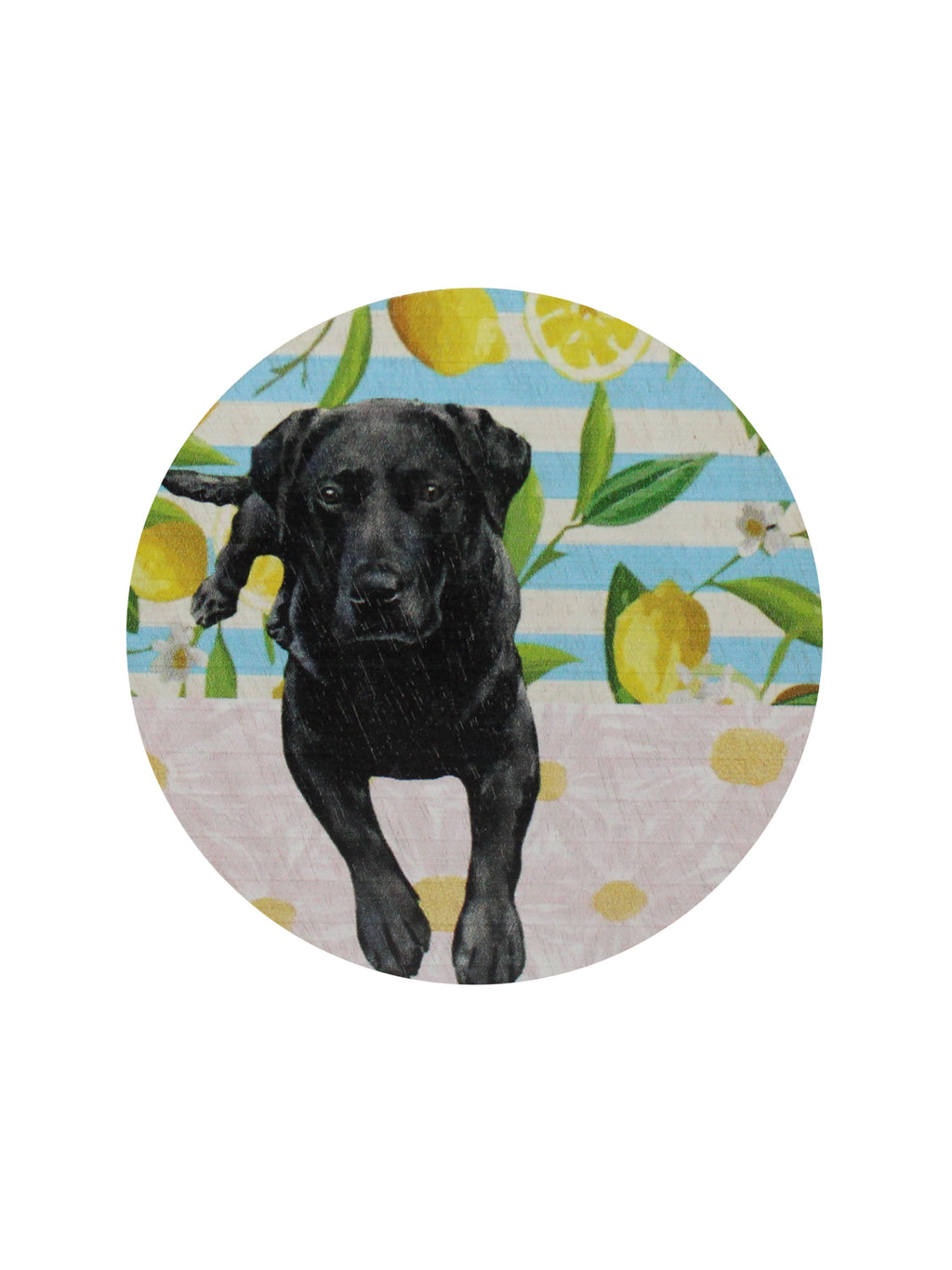 Sand + Paws Tropical Citrus 12 oz scented candle