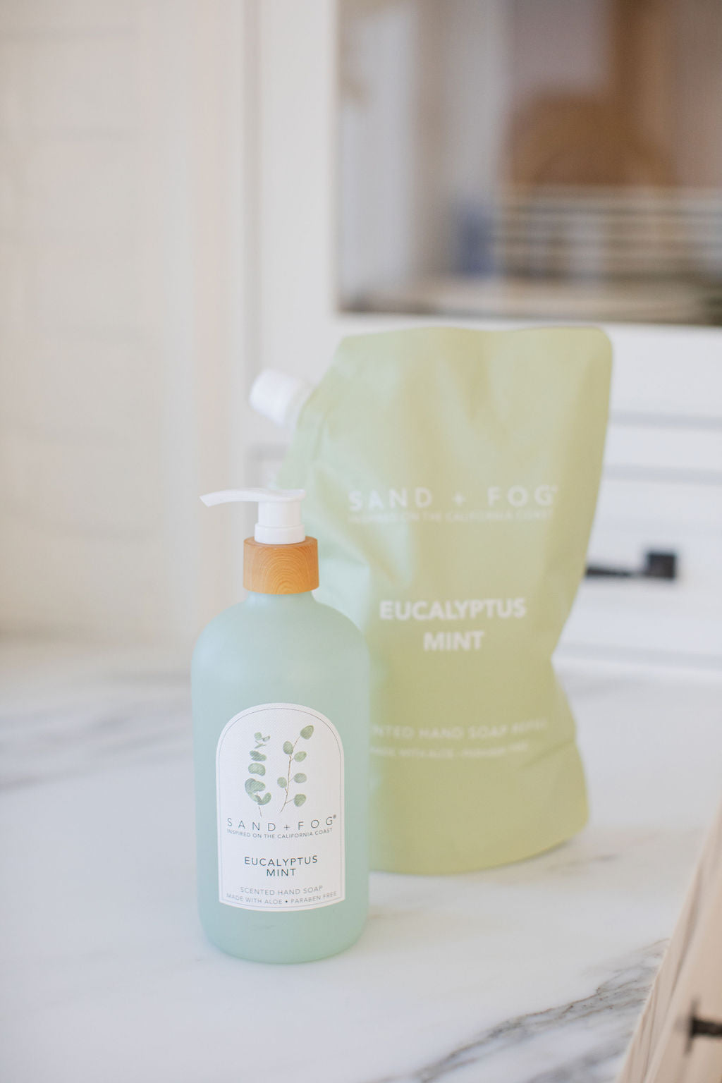 Eucalyptus Mint 34 oz Liquid Hand Soap Refill Bag
