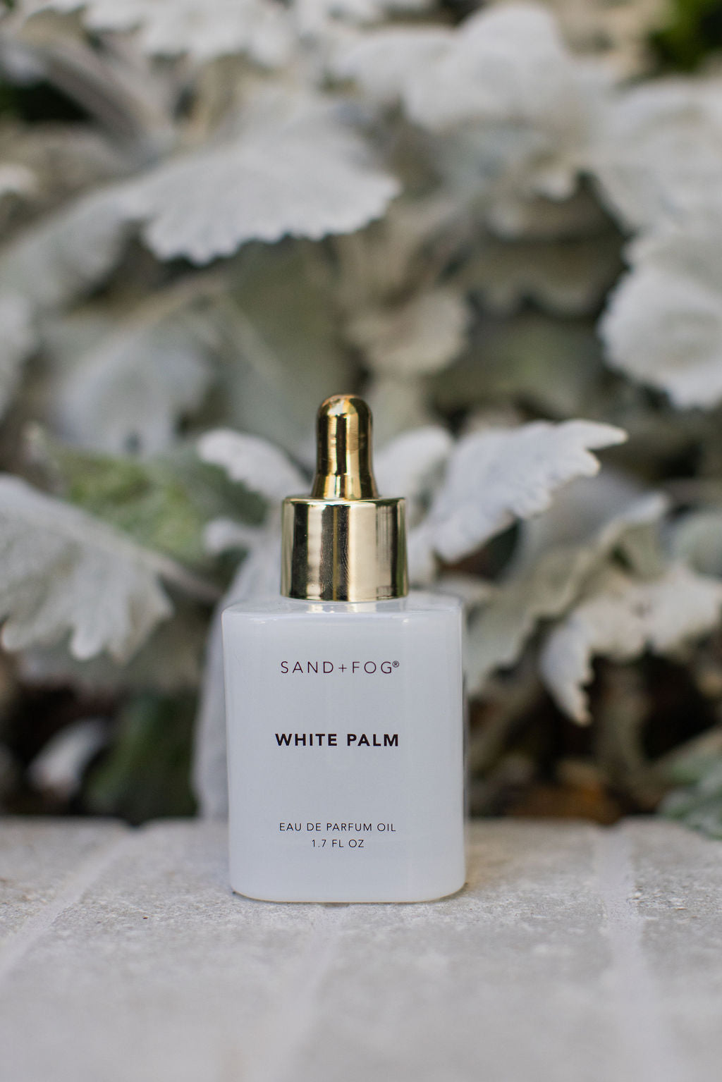 White Palm 50 ml Perfume Oil Dropper