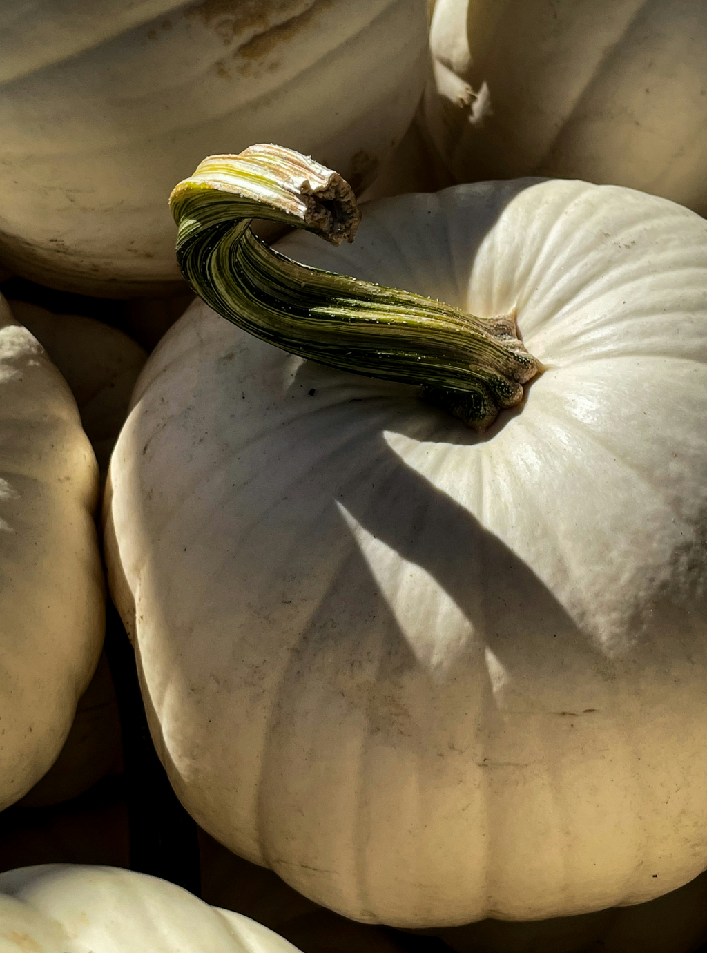 White Pumpkin 100 ml Room Spray