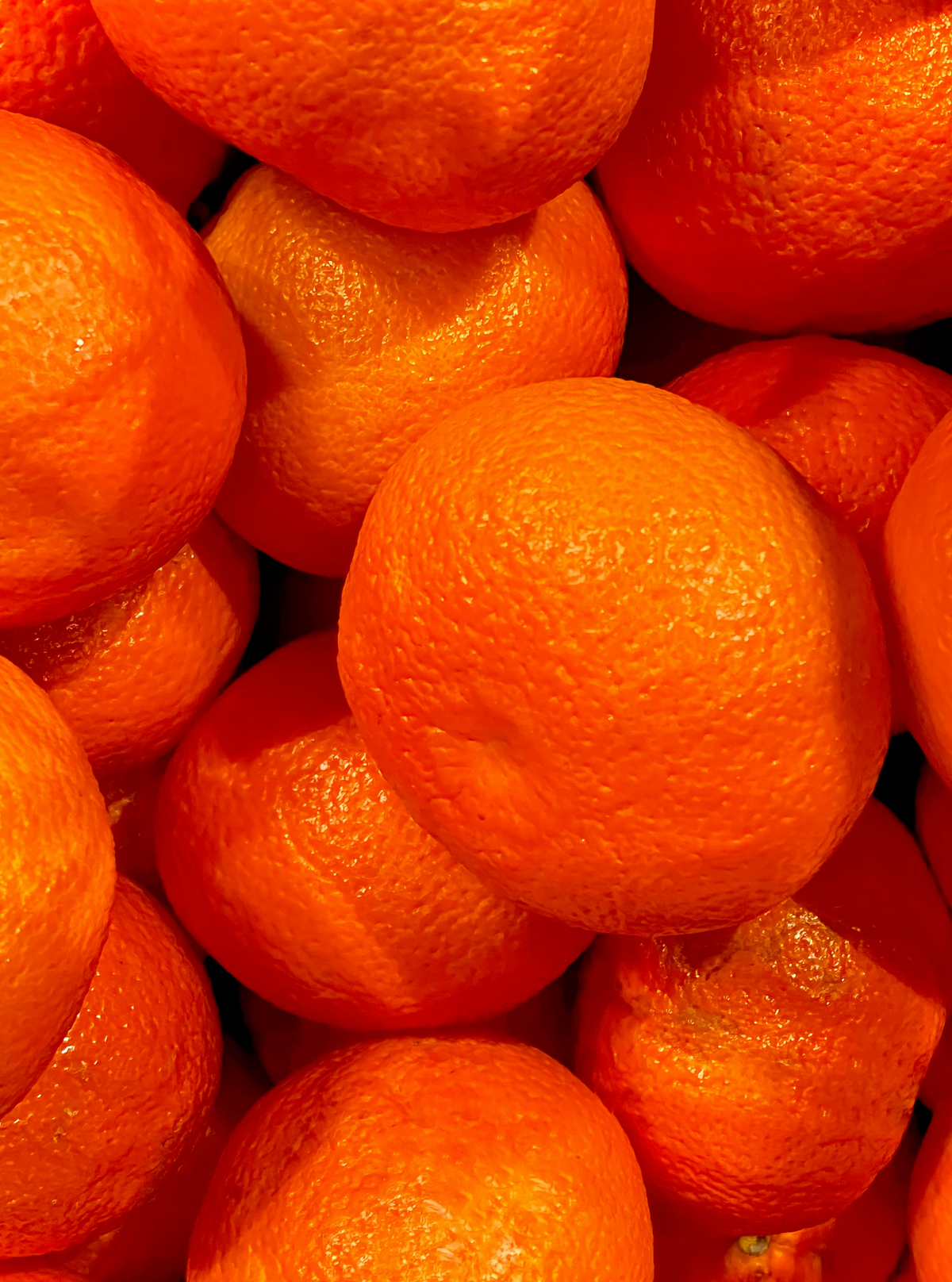 Mango & Sweet Tangerine 10 oz scented candle