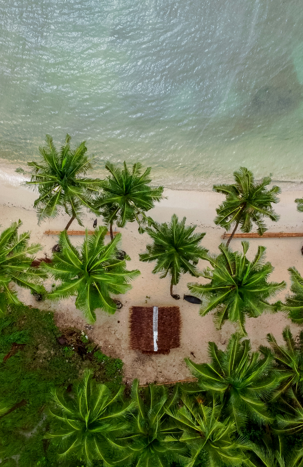 Coconut Beach 50 ml Perfume Oil Dropper