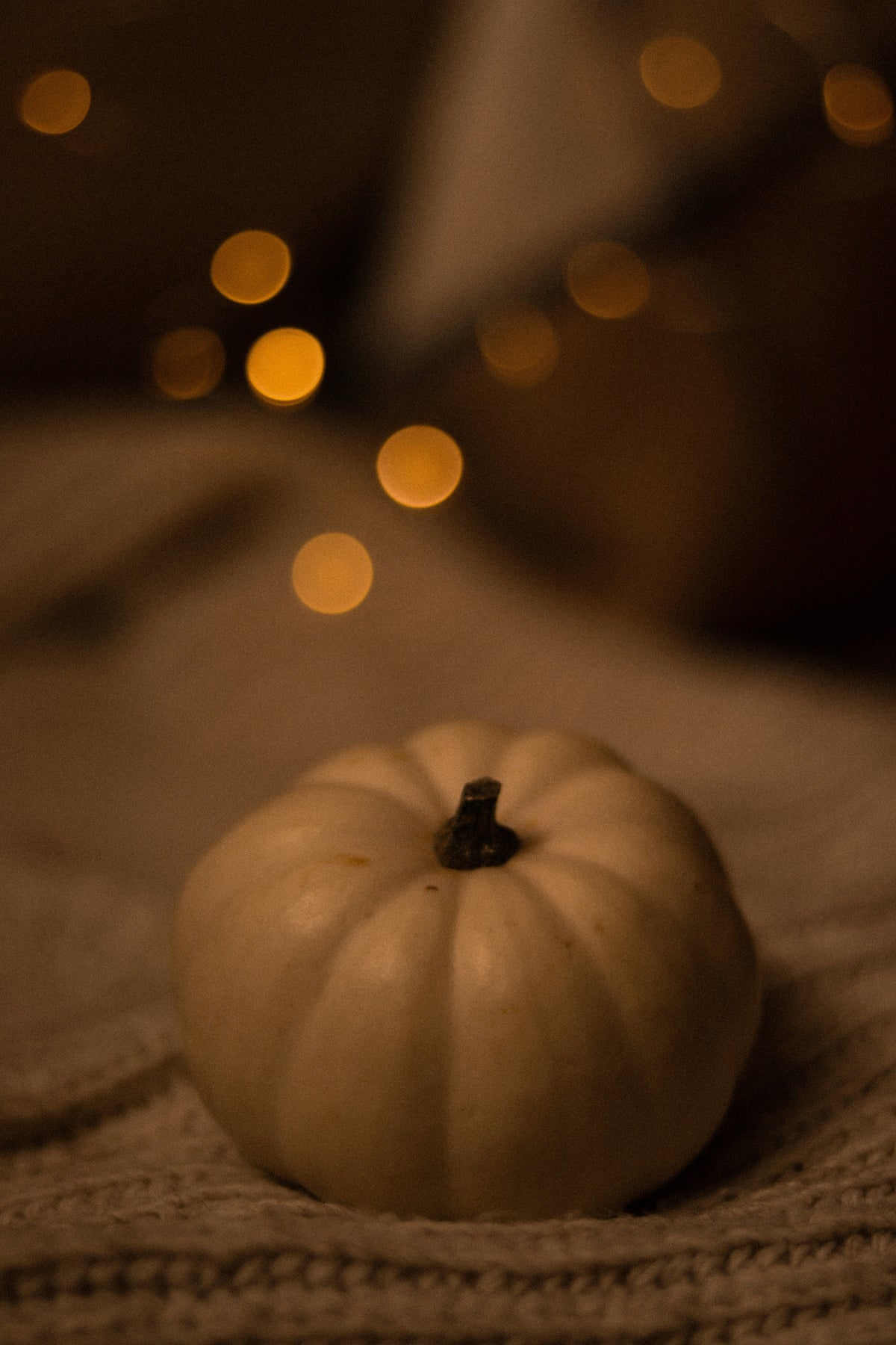 Vanilla Pumpkin 12 oz scented candle